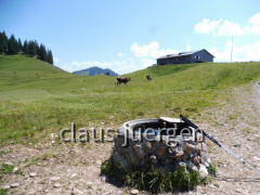 Alpe Spicher Halde
