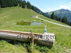 Alpe Spicher Halde