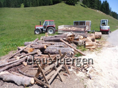 Alpe Spicher Halde