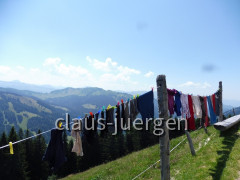 Alpe Spicher Halde