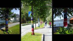 Auch Bäume sollen nicht frieren, Eidfjord