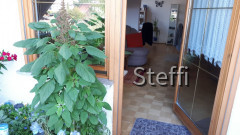 20190804_090645