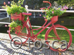 Impressionen aus Delft