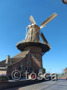 Hollandmühle in Delft