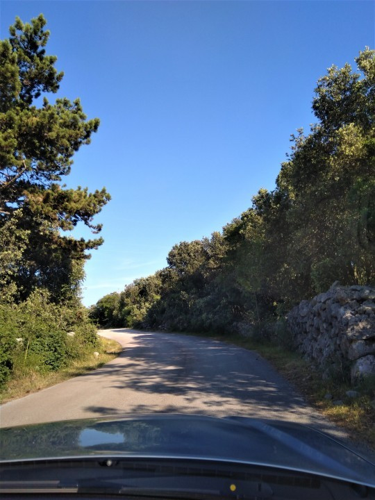 07 Cres 2019 Loznati
