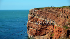 Helgoland-Lummenfelsen