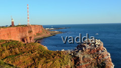 Helgoland-Lummenfelsen