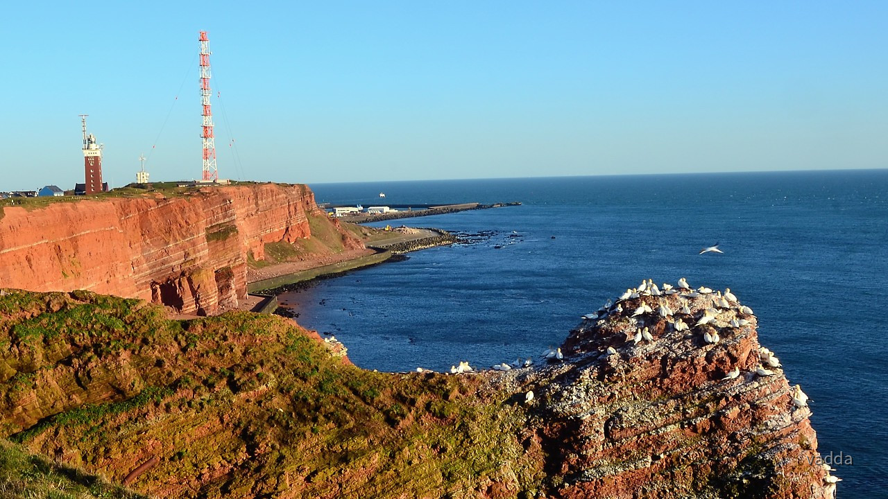 Helgoland-Lummenfelsen