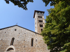 Rosia  (6)