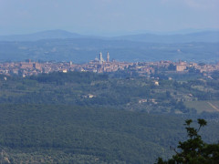 Pieve di Molli  (3)