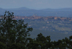 Pieve di Molli  (6)