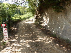 Pieve di Molli  (11)
