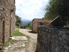 Pieve di Molli  (19)