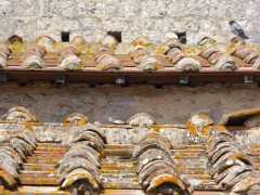 Pieve di Molli  (24)