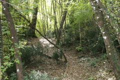 Pieve di Molli  (31)