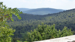 Pieve di Molli  (30)