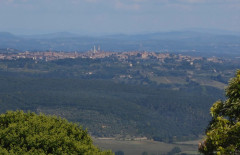 Pieve di Molli  (29)