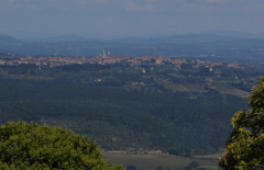 Pieve di Molli  (28)