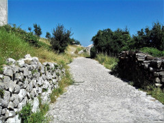 27 Cres 2019 Lubenice