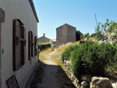 36 Cres 2019 Lubenice