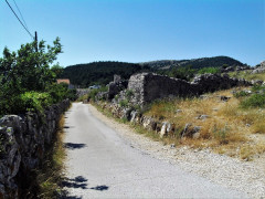 46 Cres 2019 Lubenice
