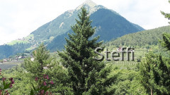 Maiser Waalweg Petaunerhof Torgglerhof SR (4)