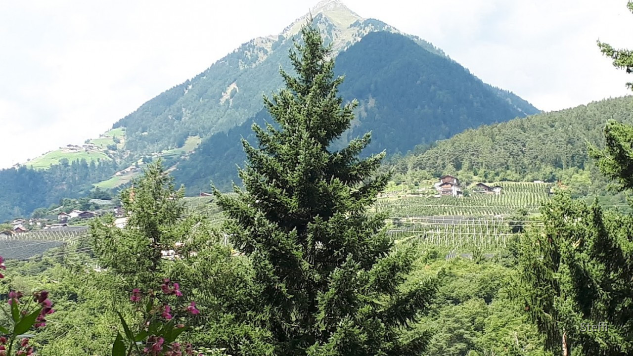Maiser Waalweg Petaunerhof Torgglerhof SR (4)