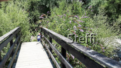 Maiser Waalweg Petaunerhof Torgglerhof SR (12)