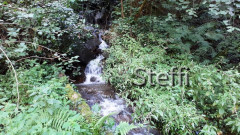 Maiser Waalweg Petaunerhof Torgglerhof SR (23)