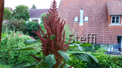 20190815_202230