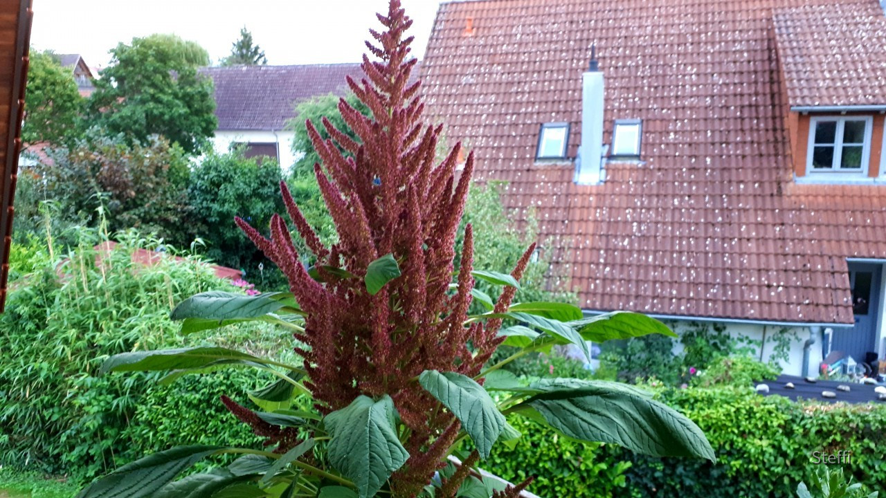 20190815_202230