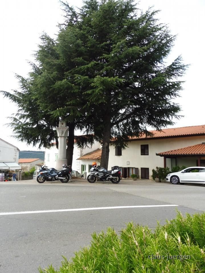 ?random=0&maxWidth=0&embedded=0&thumbnail=large