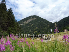 Suzi August 2019 Kroatien