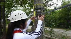 Hochseilgarten Übersee
