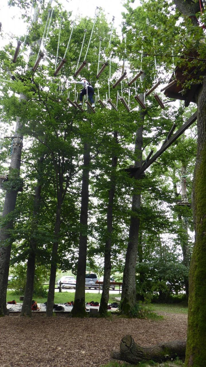 ?random=0&maxWidth=0&embedded=0&thumbnail=large