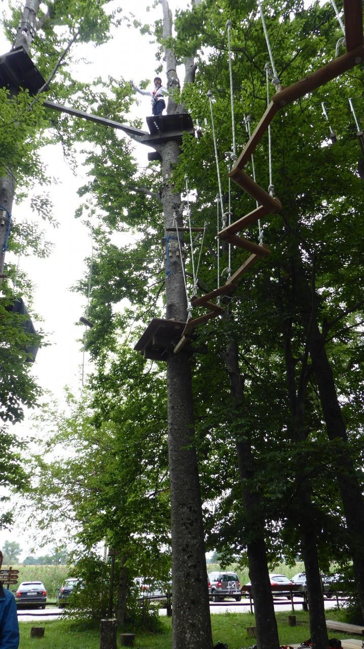 ?random=0&maxWidth=0&embedded=0&thumbnail=large