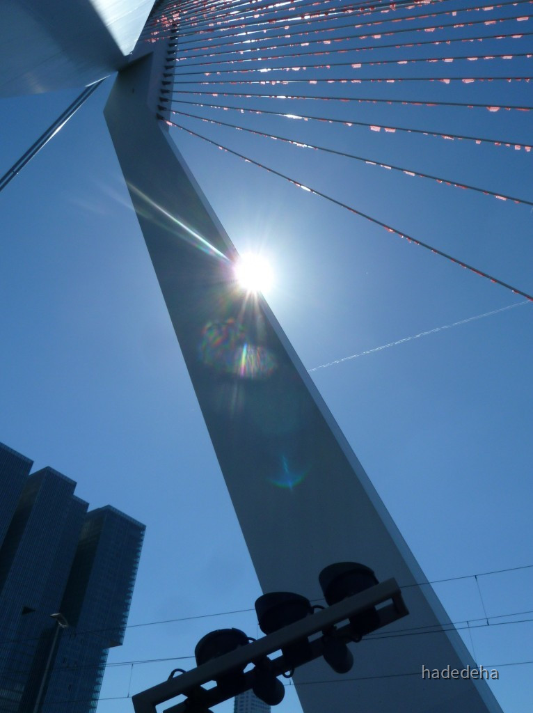 Rotterdam - Sonne hinterm Pfeiler der Erasmusbrücke