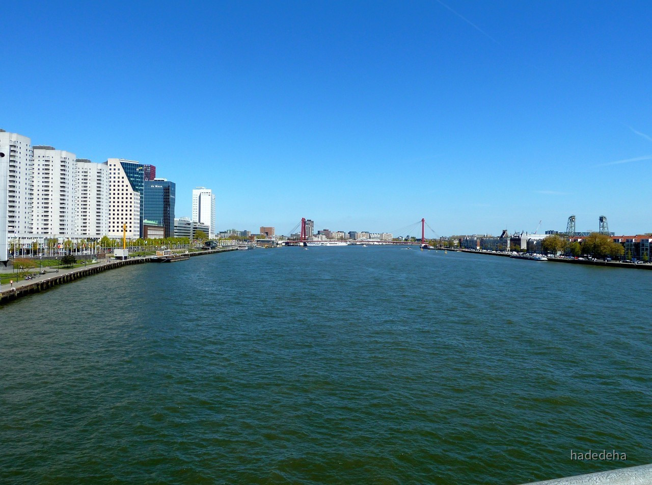 Rotterdam - Blick von der Erasmusbrücke auf die Willemsbrücke