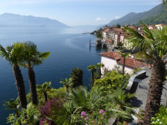 Von Cannero nach Cannobio (5)