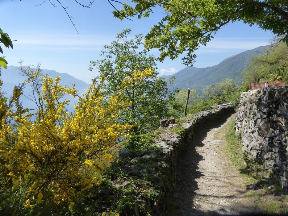 Von Cannero nach Cannobio (14)