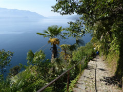 Von Cannero nach Cannobio (11)