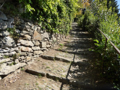 Von Cannero nach Cannobio (10)