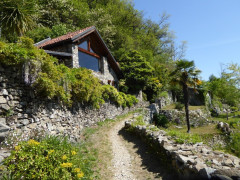 Von Cannero nach Cannobio (13)