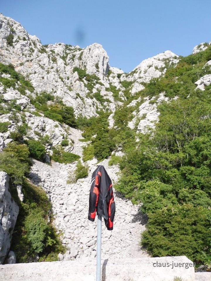 ?random=0&maxWidth=0&embedded=0&thumbnail=large