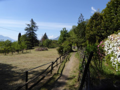 Von Cannero nach Cannobio (21)