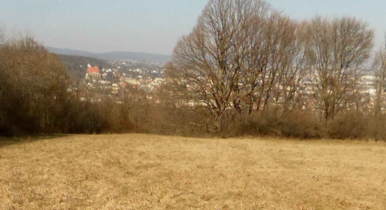 Eichkogel 2019
