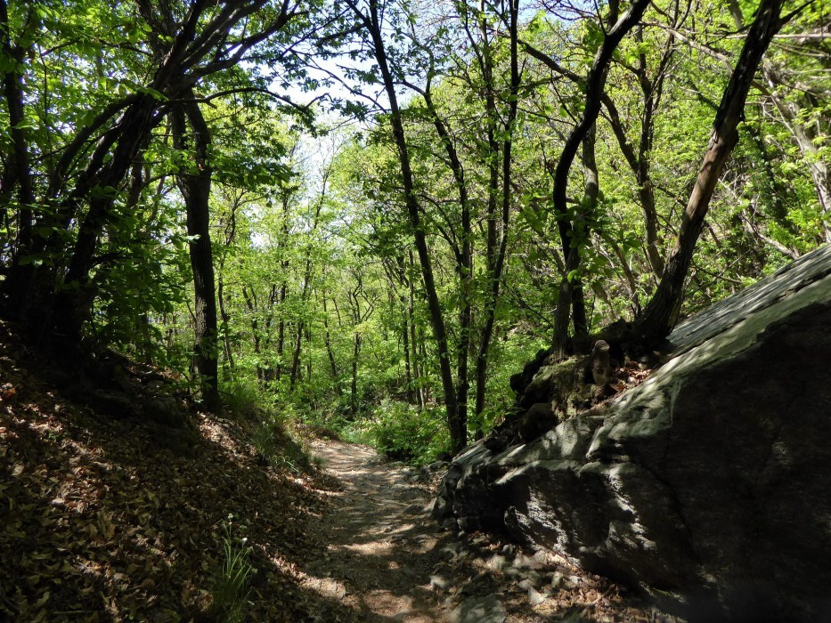 Von Cannero nach Cannobio (25)