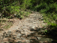Von Cannero nach Cannobio (24)