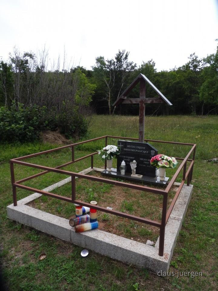 ?random=0&maxWidth=0&embedded=0&thumbnail=large