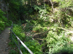 Von Cannero nach Cannobio (28)
